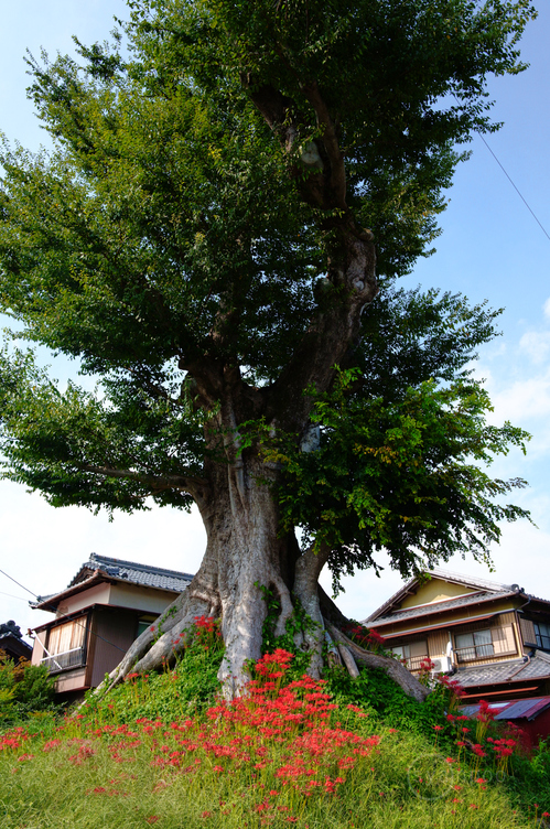 SDIM1904,28 mm,F9,1-200 秒,iso640(JPEG).jpg