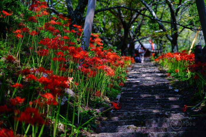 SDIM9669,88 mm,F2.8,1-125 秒,iso100(JPEG).jpg