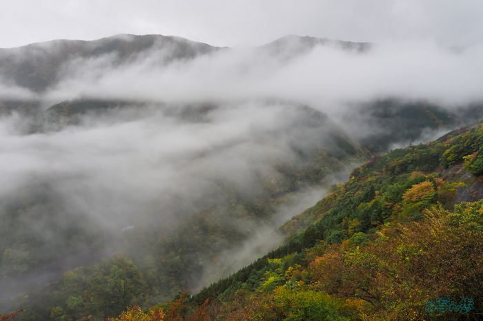 PB020065,15 mm,F6.3,1-60 秒,iso800(JPEG).jpg