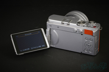 Panasonic LUMIX DC-S9N_003.jpg