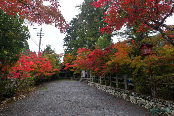 _1001053my,18 mm,F8,iso640(JPEG).jpg