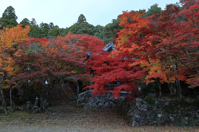 IMG_0448,20 mm,F7.1,0.4 秒,iso100(JPEG).jpg