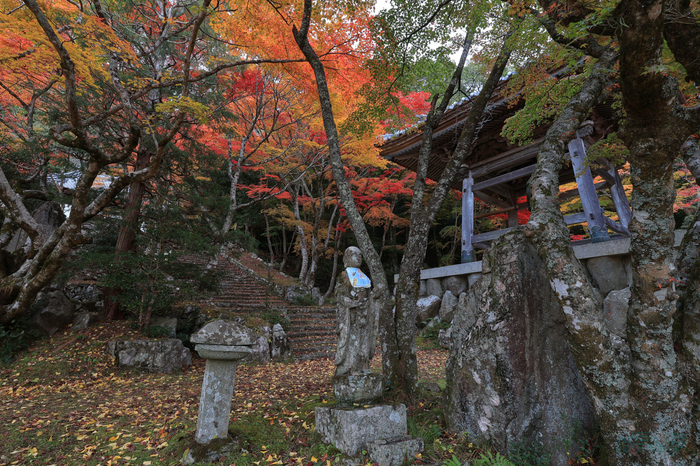 IMG_0508,11 mm,F8,0.6 秒,iso100(JPEG).jpg