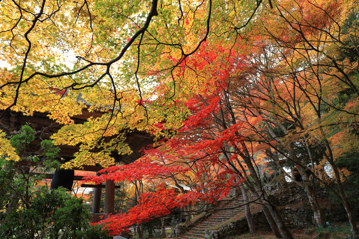 IMG_0709,14 mm,F7.1,0.2 秒,iso100(JPEG).jpg