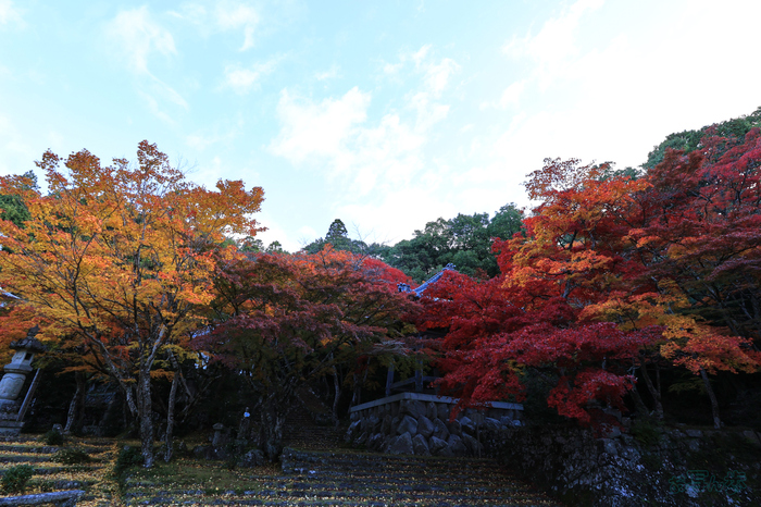 IMG_0946,11 mm,F7.1,1-60 秒,iso200(JPEG).jpg