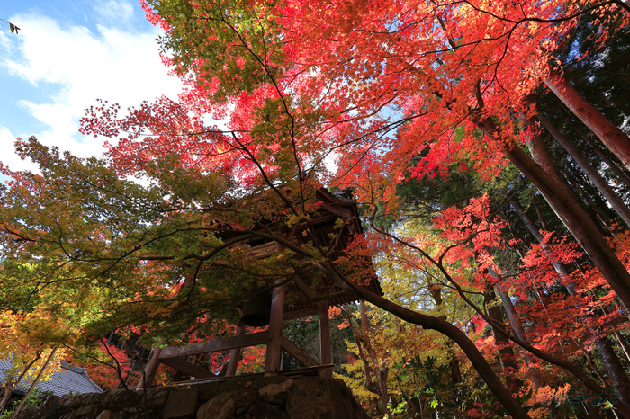 IMG_2313,11 mm,F6.3,1-160 秒,iso100(JPEG).jpg