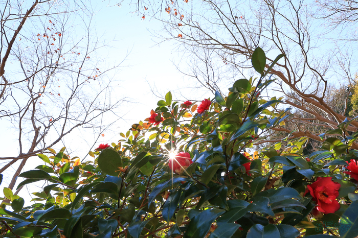 483A8493,16 mm,F16,1-80 秒,iso500(JPEG).jpg