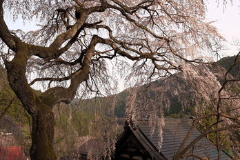 BF_00280,35 mm,F7.1,1-400 秒,iso400(JPEG).jpg