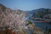 PS1R2149,45 mm,F1.8,iso80(JPEG).jpg