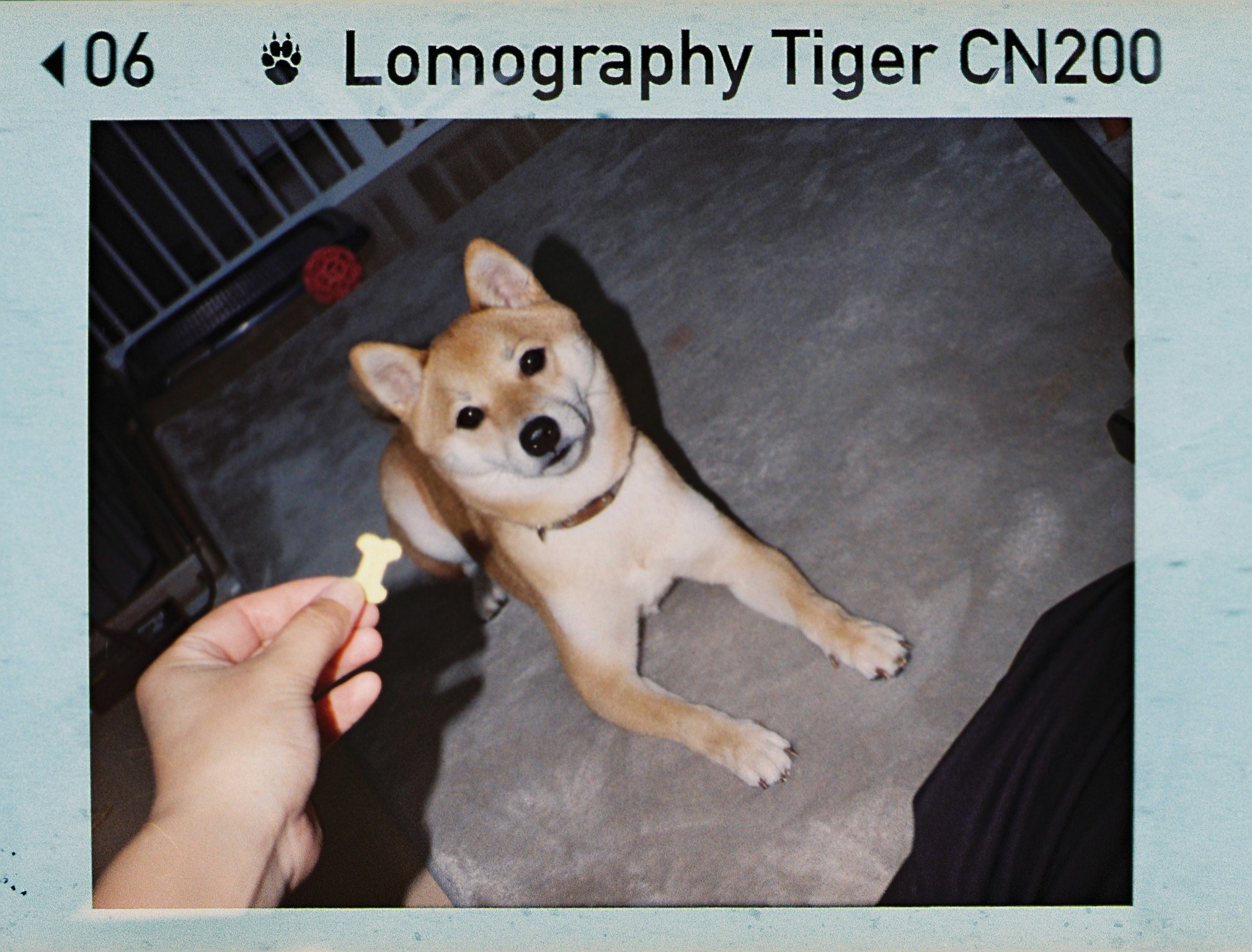 110 ポケットカラーネガフィルム 現像 + データ化 フルフレーム (パーフォレーション込み)+ Pサイズプリント(パーフォレーション込み)