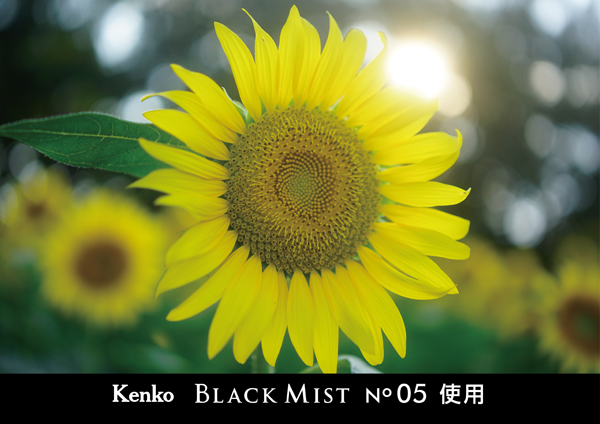 ケンコー ブラックミスト No.5 62mm [ソフトフィルター] Kenko