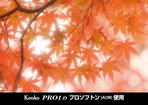 ケンコー PRO1 D  プロソフトン [A] (W) 62mm [ソフトフィルター] Kenko