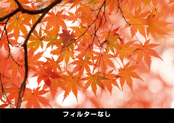 ケンコー PRO1 D  プロソフトン [A] (W) 62mm [ソフトフィルター] Kenko