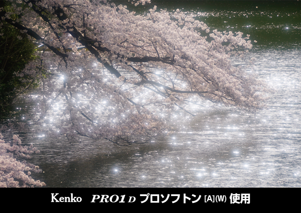 ケンコー PRO1 D  プロソフトン [A] (W) 62mm [ソフトフィルター] Kenko