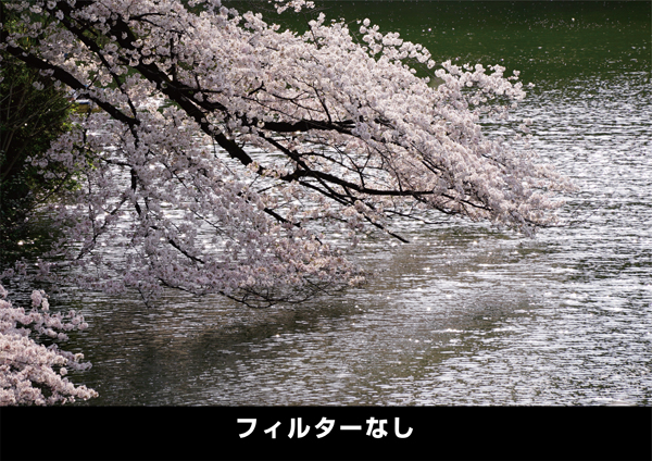 ケンコー PRO1 D  プロソフトン [A] (W) 62mm [ソフトフィルター] Kenko