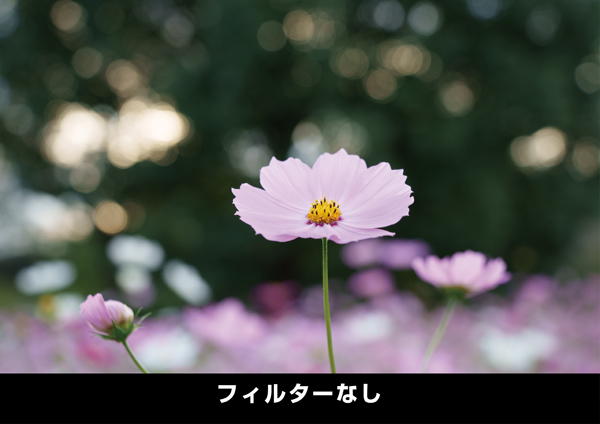ケンコー ホワイトミスト No.1 62mm [ソフトフィルター] Kenko