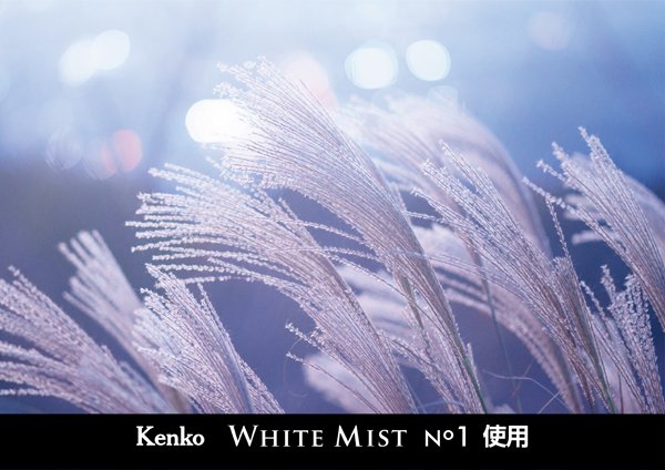 ケンコー ホワイトミスト No.1 62mm [ソフトフィルター] Kenko