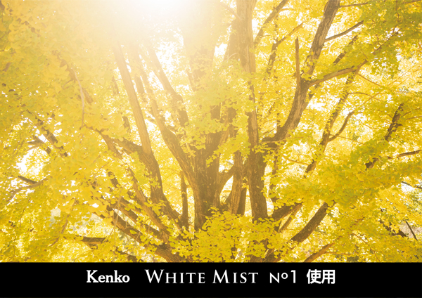 ケンコー ホワイトミスト No.1 67mm [ソフトフィルター] Kenko