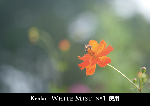 ケンコー ホワイトミスト No.1 67mm [ソフトフィルター] Kenko