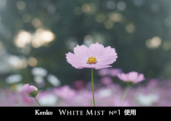 ケンコー ホワイトミスト No.1 67mm [ソフトフィルター] Kenko