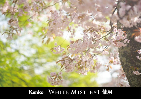 ケンコー ホワイトミスト No.1 67mm [ソフトフィルター] Kenko