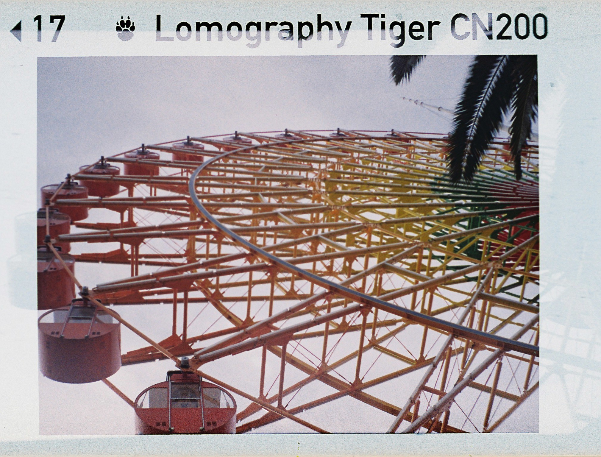 110 ポケットカラーネガフィルム 現像 + データ化 フルフレーム (パーフォレーション込み)