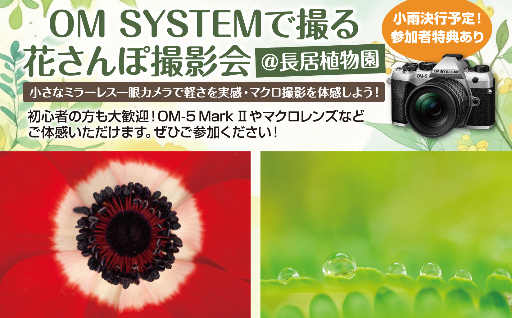 ■□ ｢★女性限定!!★ OM SYSTEMで撮る花さんぽ撮影会｣～ □■《2026年6月27日 土曜日》
