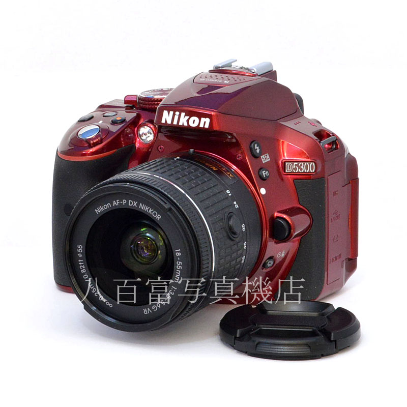 NIKON D5300 & レンズ AF-P 18-55  ショット数10831