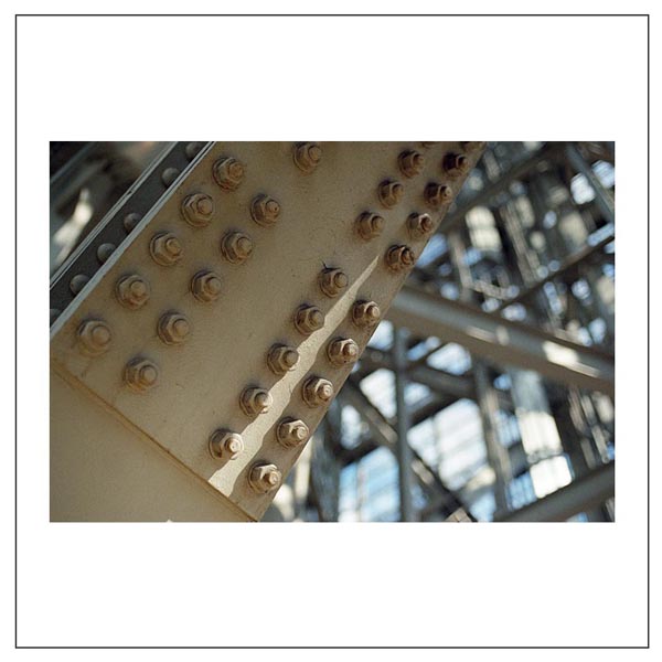 イルフォード イルフォカラー ヴィヴィッド 400 / 135-36枚撮 / ILFORD ILFOCOLOR VIVID 400