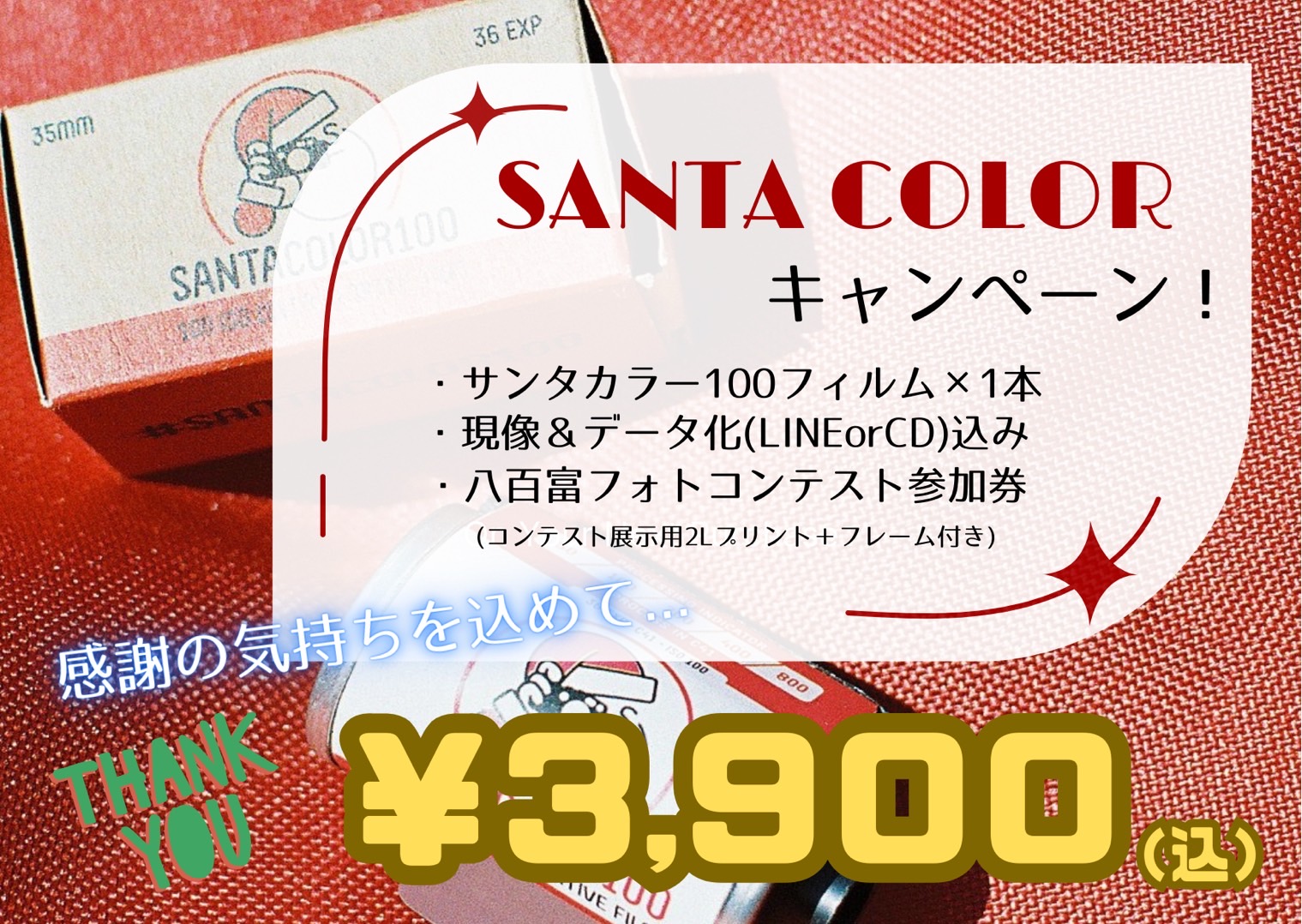 サンタカラー 八百富フォトコンテスト参加券（現像＋データ化料金込み）付きネガフィルム 100D 36枚撮り [カラーネガフィルム] SANTACOLOR NegaFilm