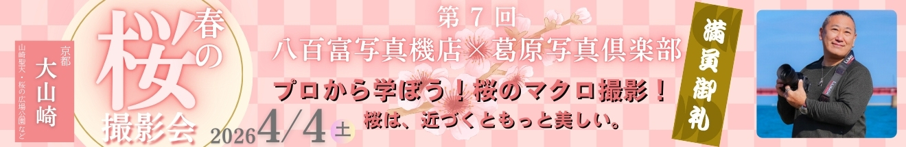 ｢春の桜 撮影会 ・京都 大山崎～ 参加者募集中!!